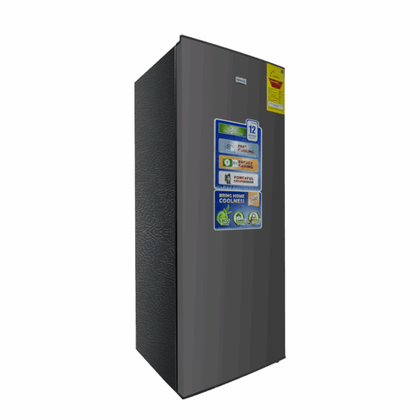 Nasco 166Ltrs Standing Freezer NASD1-200SK