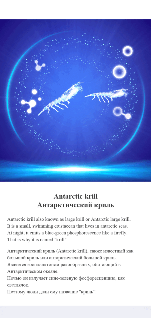 Antarctic Krill Oil Supplement