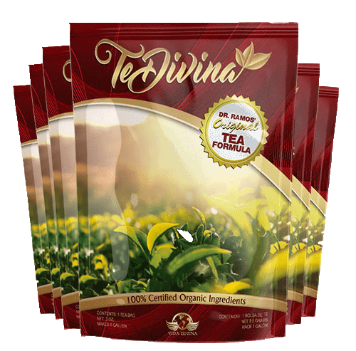Te Divina Detox Tea Weight Lose 4 Sachets For 28 Days