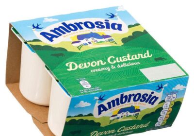 ambrosia-devon-custard-718425_18915e4a-06c9-4a43-8e6d-5431d6010c52_1024x1024