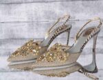 Ladies Clutch hand bag with shoe Set