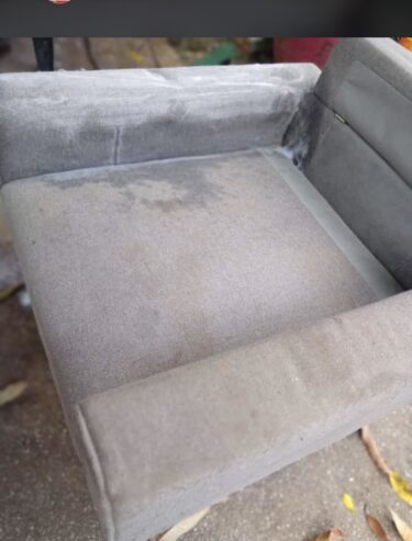 Professional sofa cleaning services