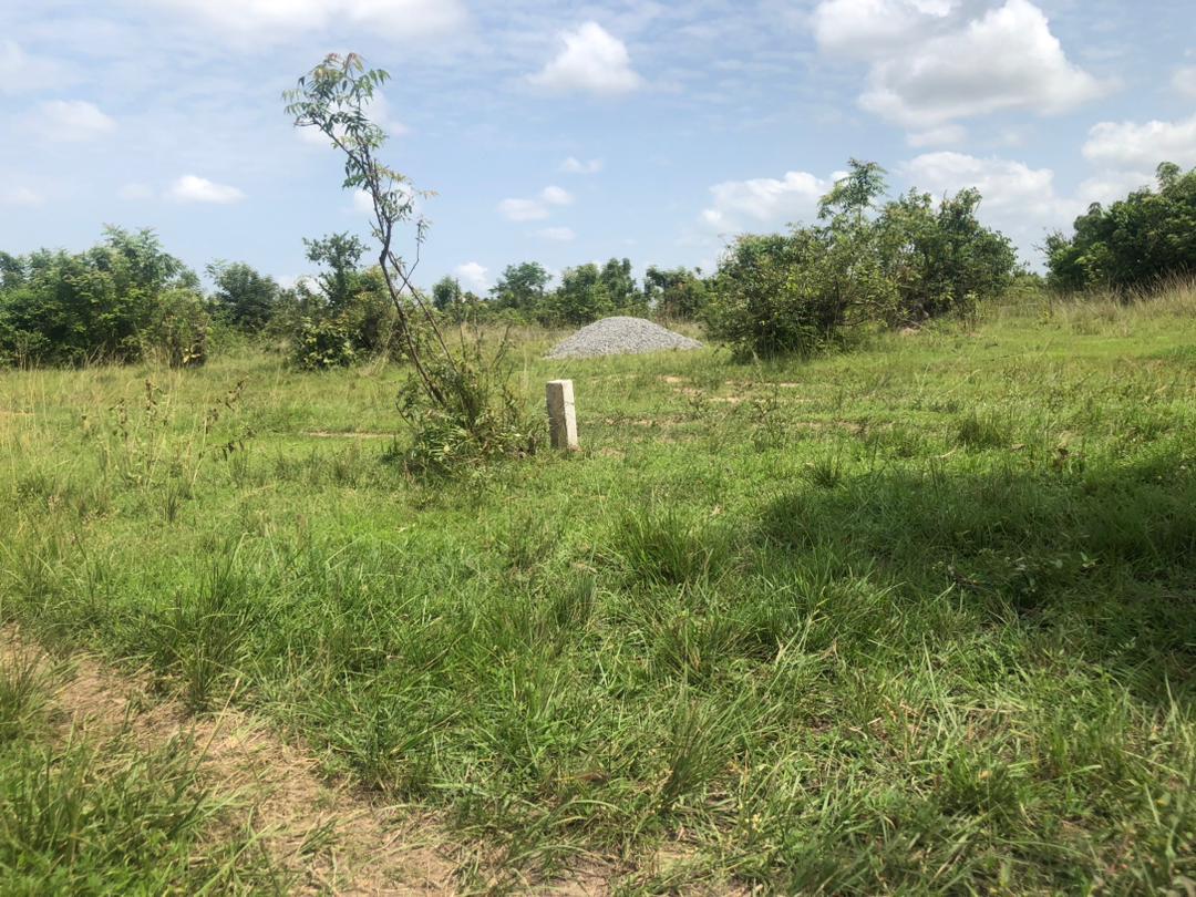 Genuine lands for sale Services- your chance to own a piece of paradise”