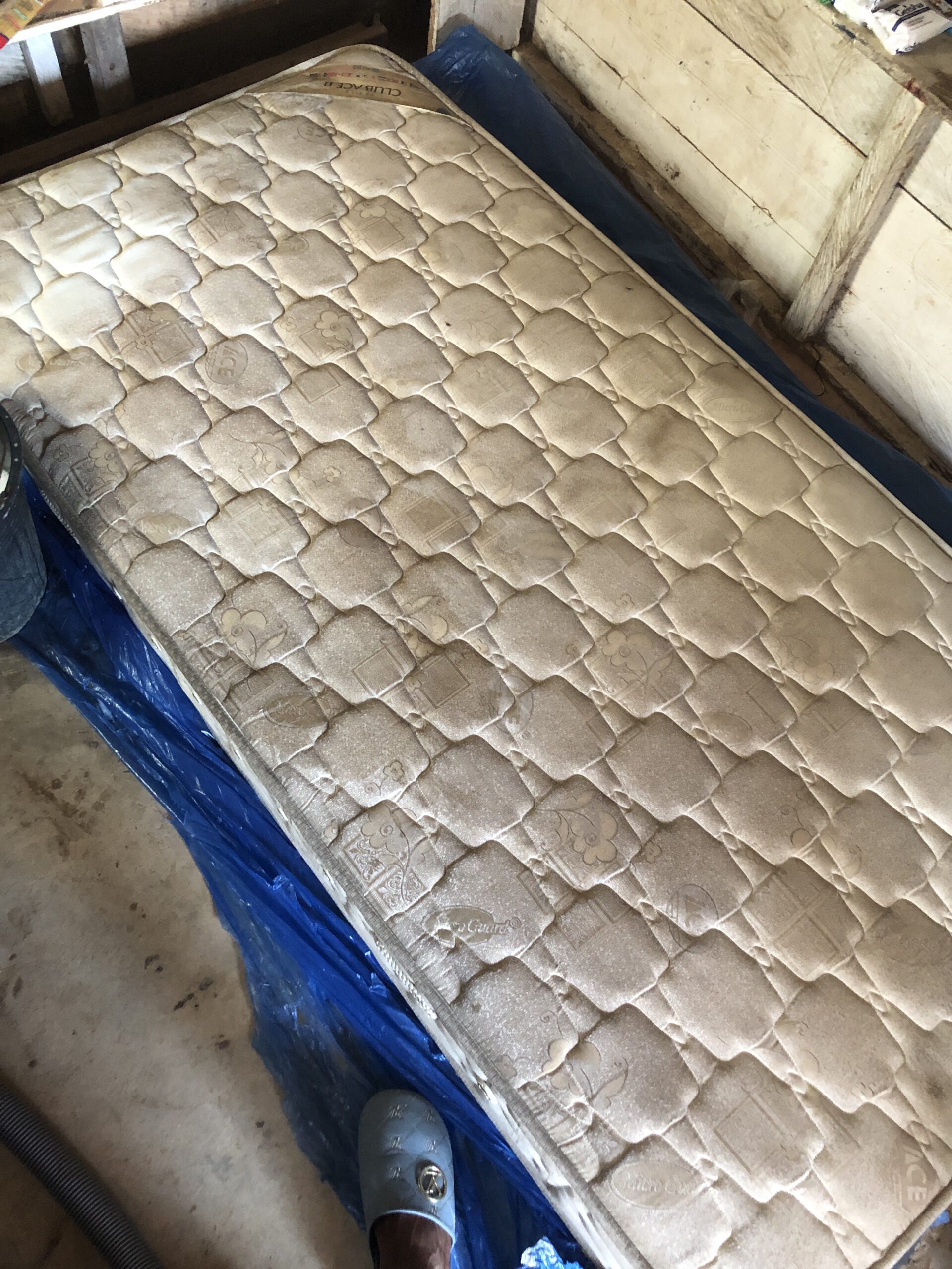 Bed / Mattress cleaning services