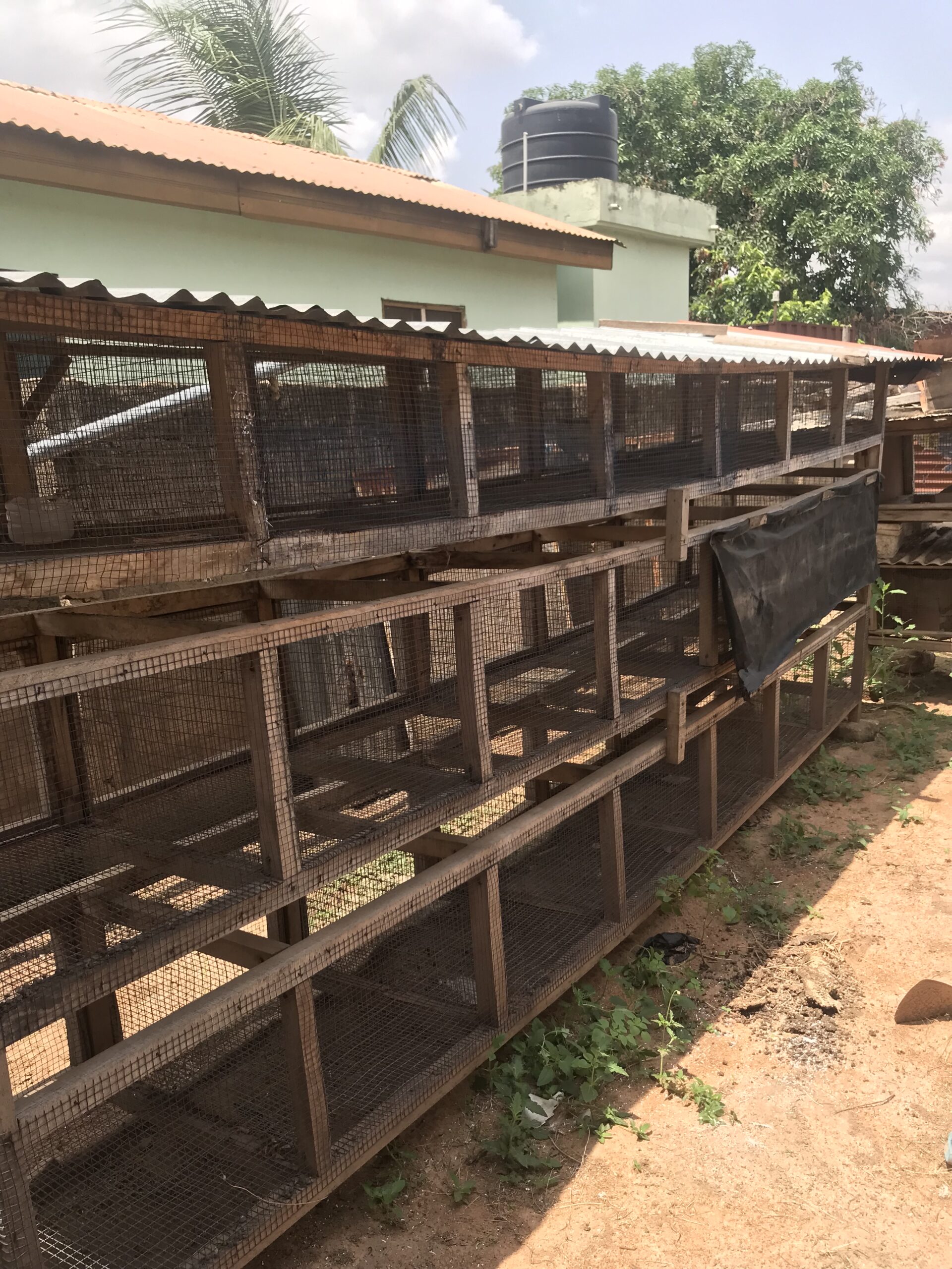 Rabbits cage for sale