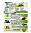 Immune Booster STC30 superlife 1 Pack 15 satchets