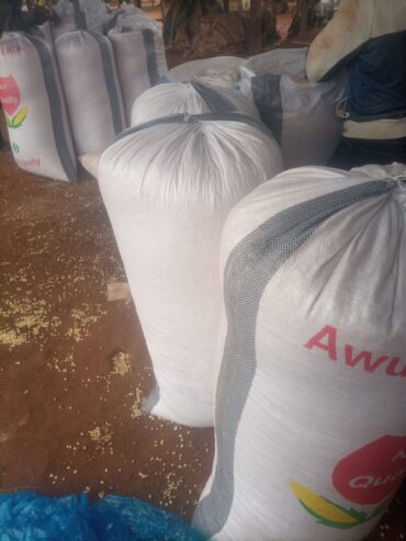Bags of Maize Forsale
