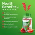 Vitawell Adult Energy Vitamins Gummies