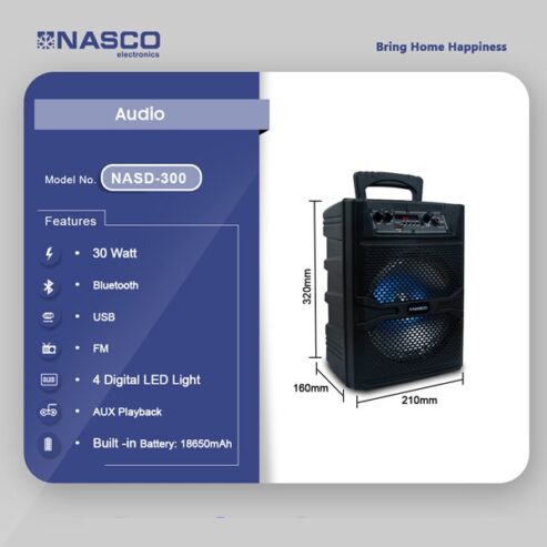 Nasco 30watt Audio Karaoke Nasd 300 in Ghana