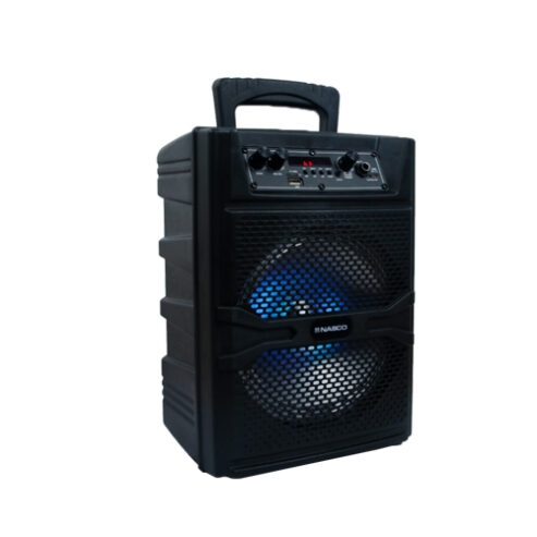 Nasco 30watt Audio Karaoke Nasd 300 in Ghana