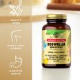 Solgar Boswellia Resin Extract 60 Vegetable Capsules