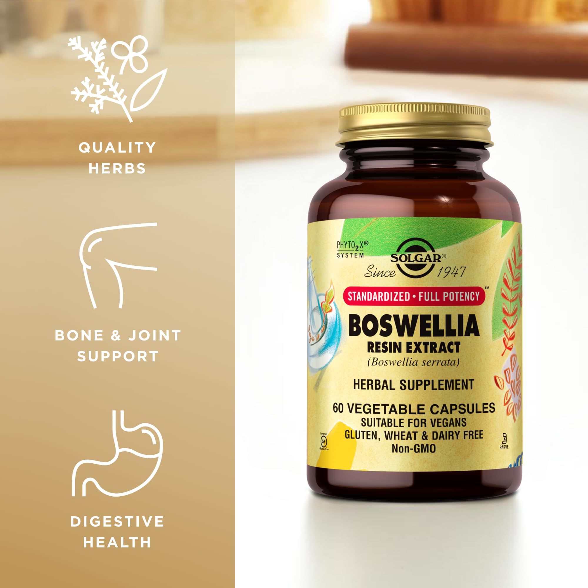 Solgar Boswellia Resin Extract 60 Vegetable Capsules